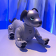 Illustration for article titled Sony's Robot Dog Aibo Will March Its Paws to American Homes in September for $2,900 a Pup